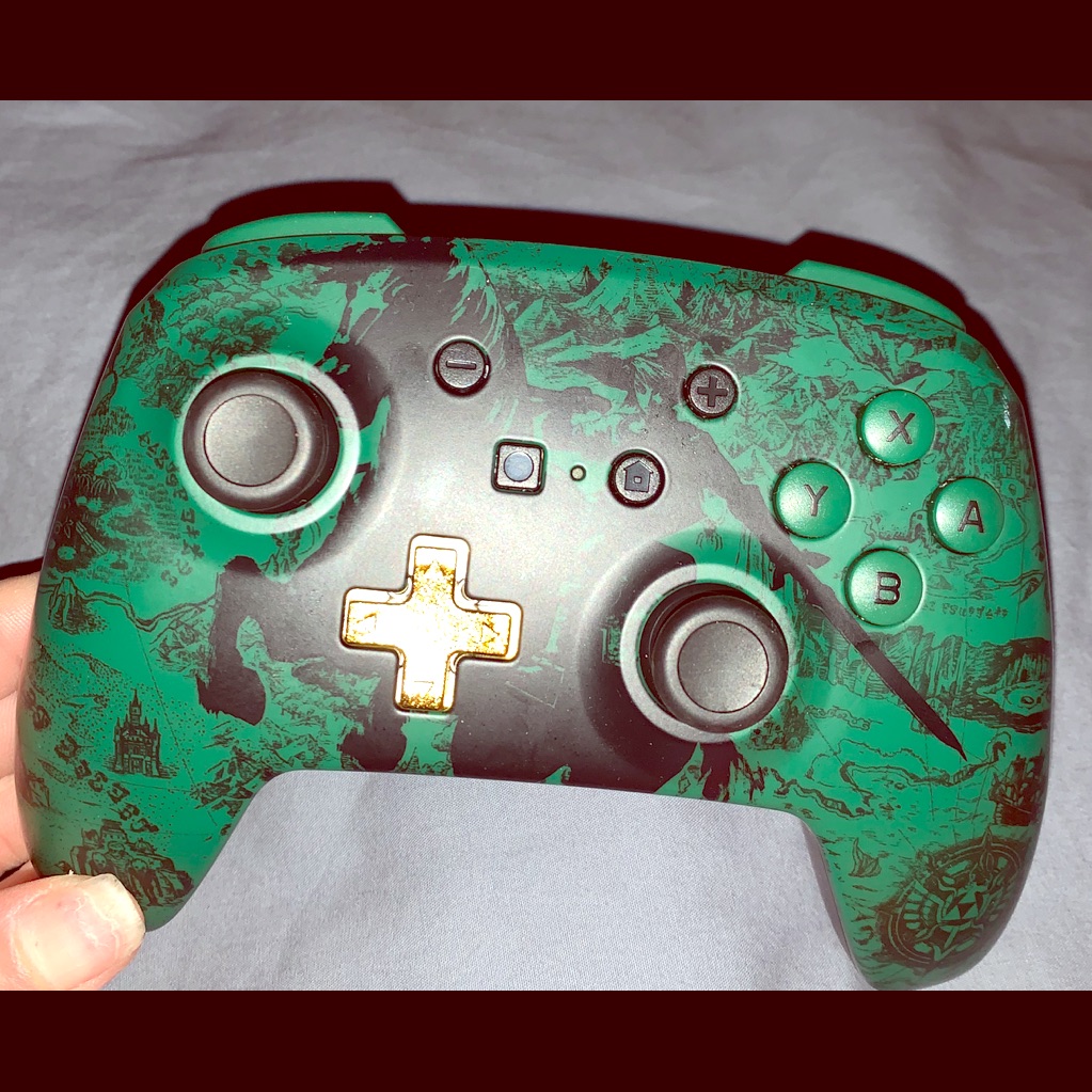 Nintendo Switch Controllers